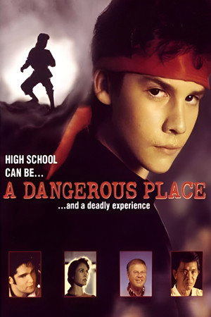 watch-A Dangerous Place (1994)