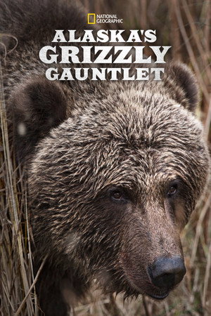 watch-Alaska's Grizzly Gauntlet (2018)
