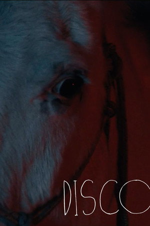 watch-Disco (2025)