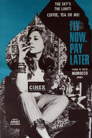 watch-Fly Now, Pay Later (1969)