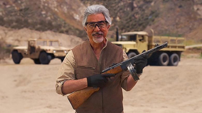 watch-Gun Stories (2011)