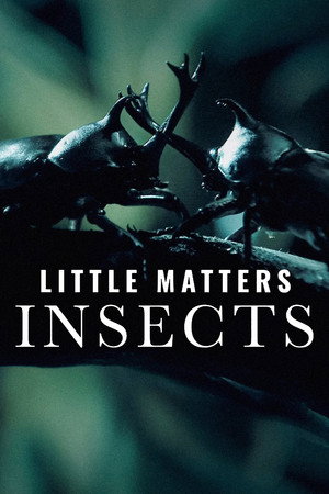 watch-Little Matters: Insects (2014)