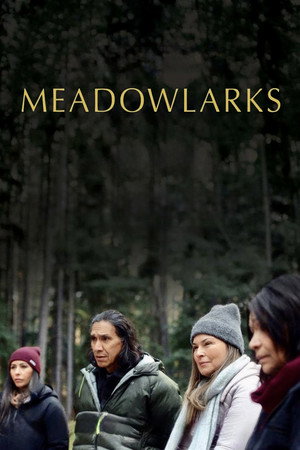 watch-Meadowlarks (2025)