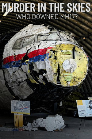 watch-Murder in the Skies: Who Downed MH17? (2025)