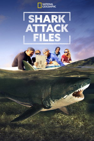 watch-Shark Attack Files (2021)