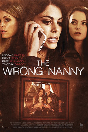 watch-The Wrong Nanny (2017)