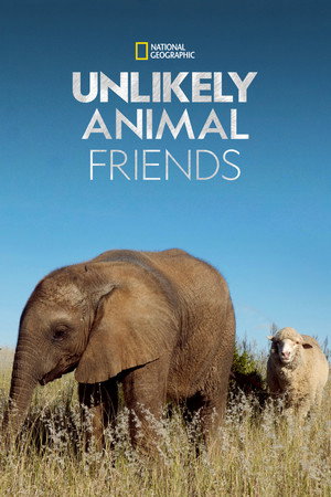 watch-Unlikely Animal Friends (2012)