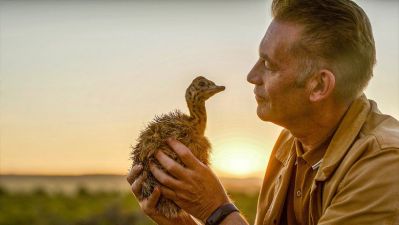 watch-Evolution (2026) 2026